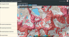 Mapy geologiczne w internecie: wspólna platforma kartografii geologicznej