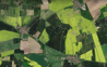 Niemiecki urząd geodezyjny inwestuje w codzienne zobrazowania satelitarne