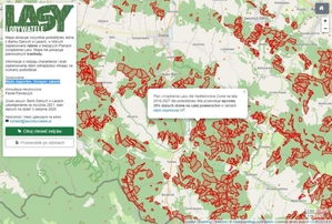 Planowane wycinki lasów na interaktywnej mapie