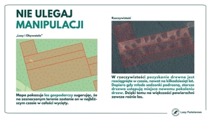 Mapa wycinki: Lasy Państwowe krytykują, autorzy się bronią <br />
Infografika Lasów Państwowych