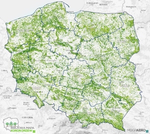 MGGP Aero prezentuje Krajową Mapę Koron Drzew