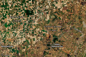 Satelity oceniły wpływ rosyjskiej inwazji na ukraińskie rolnictwo <br />
2. Niezebrane uprawy są widoczne na zdjęciu satelitarnym jako ciemniejszy kolor