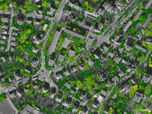 Oto najlepsze rozwiązania wykorzystujące dane i serwisy GUGiK <br />
Krajowa Mapa Koron Drzew