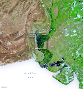 Powodzie w Pakistanie na zdjęciach satelitarnych <br />
31 sierpnia br. (fot. NASA Earth Observatory, Joshua Stevens)