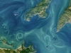 <b class=pic_title>Wybrane przez NASA zdjęcia satelitarne roku 2021</b> <br />
<br />
<b class=pic_description>Te efektownie układające się smugi na Morzu Ochockim u wschodnich wybrzeży Rosji to efekt wysokich pływów. Zjawisko zarejestrował satelita Landsat 8</b> <br />
<br />
<b class=pic_author>fot.  NASA</b><br />
<br />
